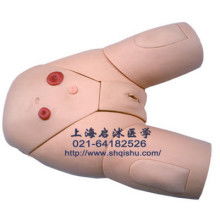 2019年醫(yī)藥教學(xué)器材市場(chǎng)報(bào)價(jià)分析與批發(fā)采購(gòu)指南——以教育裝備網(wǎng)第40頁(yè)為例