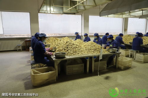 隴西縣實現道地中藥材生產全程可追溯，助力醫藥教學器材升級